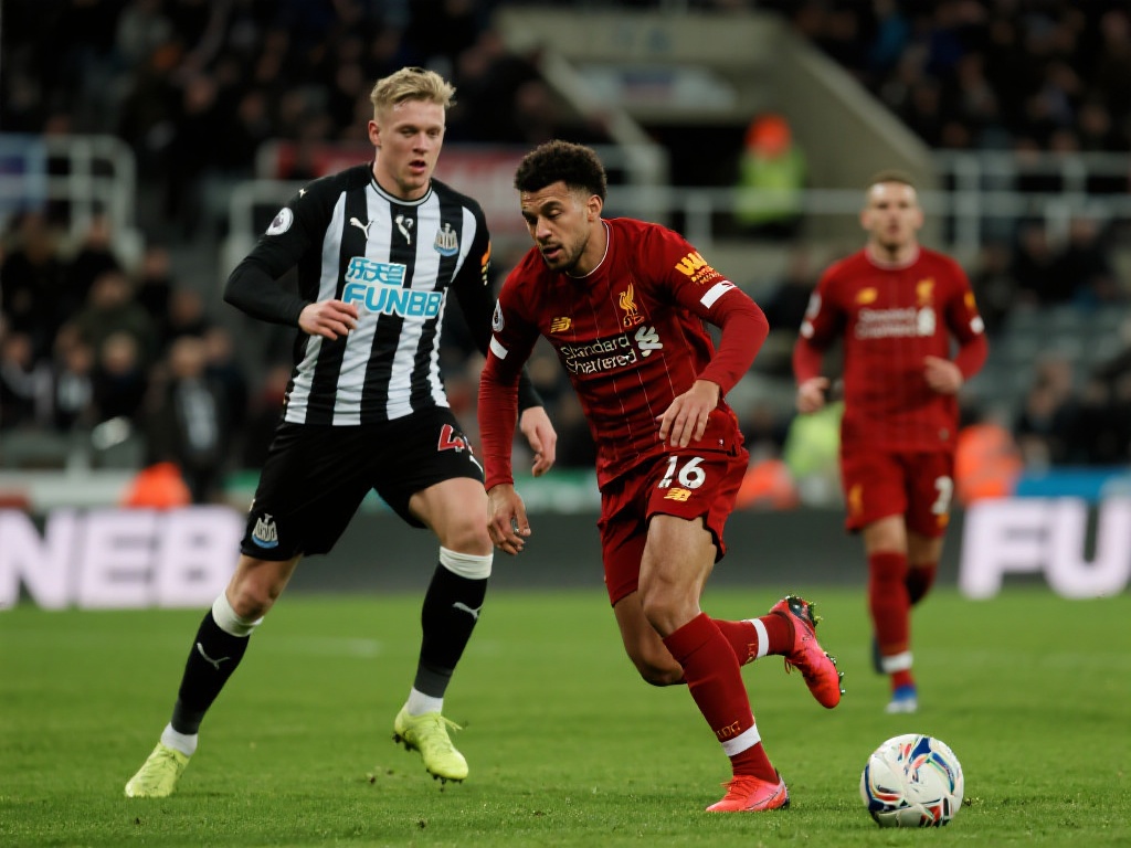 阿莱格里和 阿莱格里和