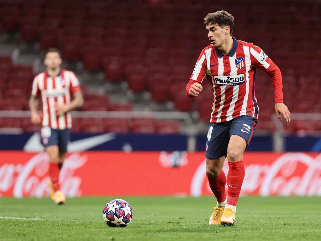 罗比尼奥的 罗比尼奥的